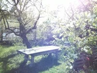 IMG_20150504_163051