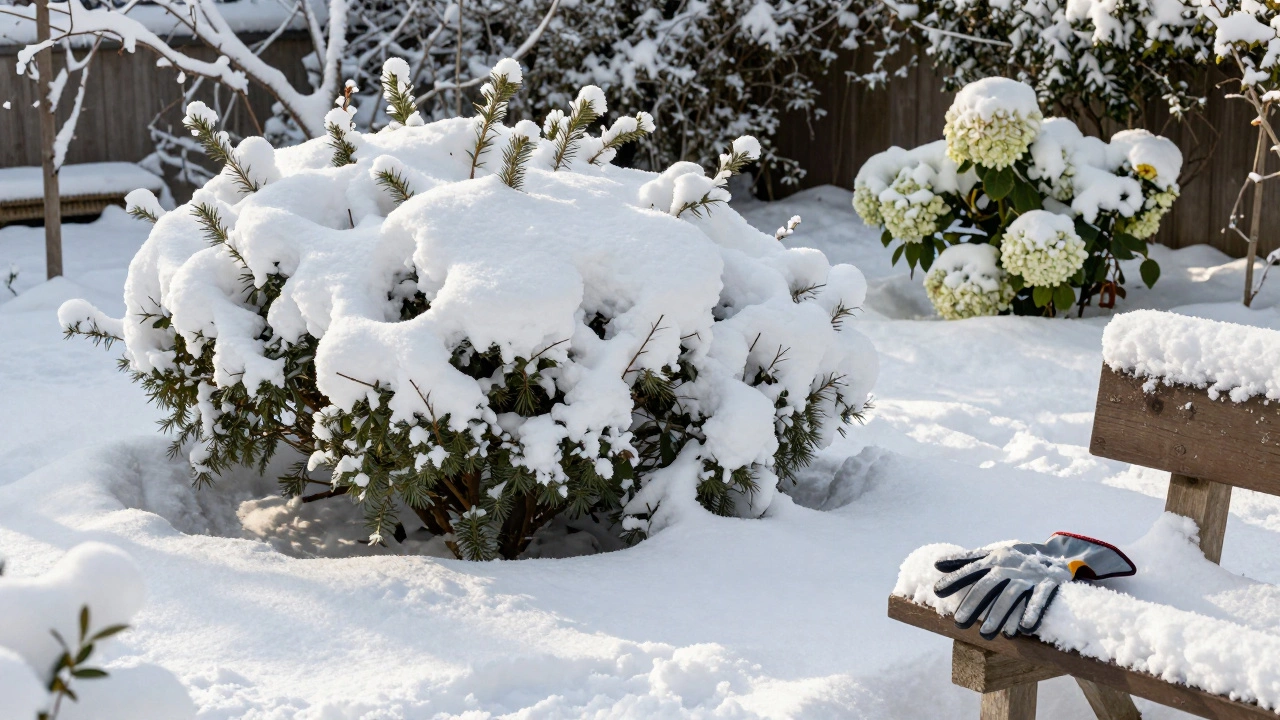 Глубокий снежный покров укрывает растения в зимнем саду, только верхушки веток видны.