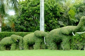 Topiary03