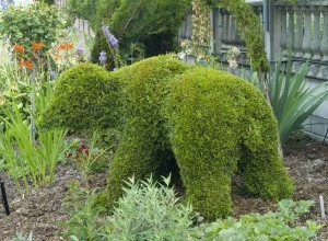 Topiary10