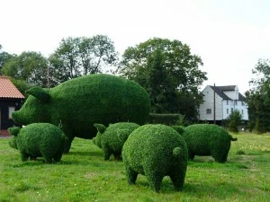 Topiary18